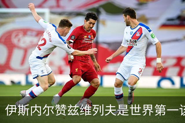 伊斯内尔赞兹维列夫是世界第一该有的样子，世界最好接发球员之一